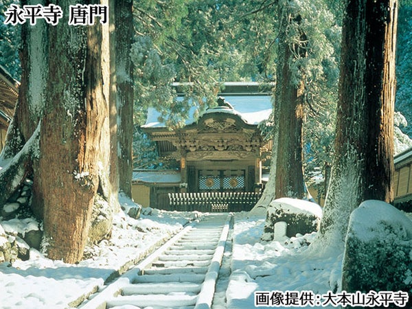 【旅粋人/添乗員同行】雪国の奇祭 勝山左義長まつりと永平寺 親禅の宿 柏樹關に泊まる奥越 2日間 名古屋駅発着【バスの旅】 1